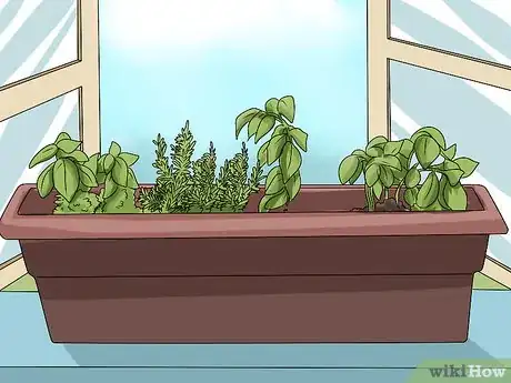 Image titled Fix Common Indoor Herb Garden Problems Step 1