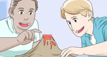 Win First Place in Your School Science Fair