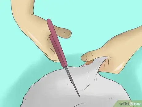 Image titled Groom an Angora Rabbit Step 9