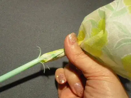 Image titled Nf23_624.JPG