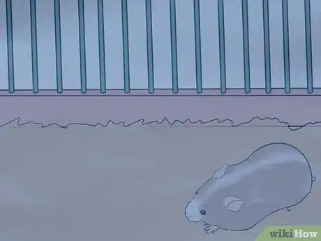Image titled Set a Routine for Your Hamster Step 5
