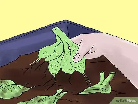 Image titled Overwinter Dahlias Step 9