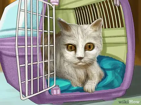 Image titled Transport a Cat in a Carrier Step 10