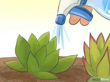 Image titled Propagate Succulents (Without Rooting Hormone) Step 12