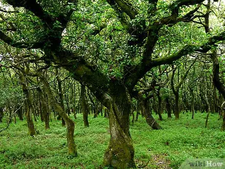 Image titled Write a Field Guide When You Are a Young Naturalist Step 4