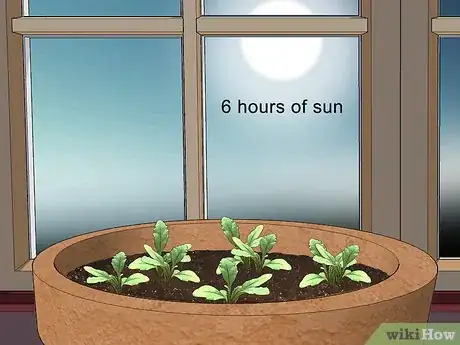 Image titled Grow Herbs in Pots Step 7