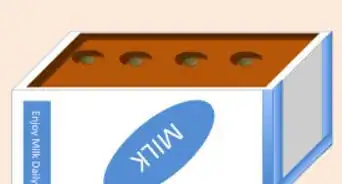 Use Cardboard Milk Containers for Seedlings