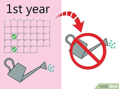 Image titled Grow Pampas Grass Step 10