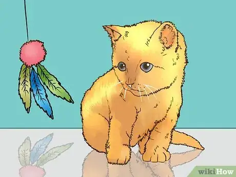 Image titled Earn the Trust of a Feral Kitten Step 15