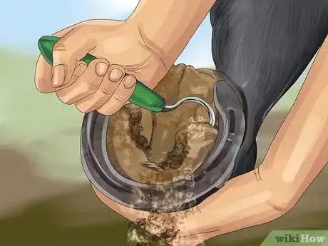 Image titled Know if Your Horse Needs Shoes Step 3