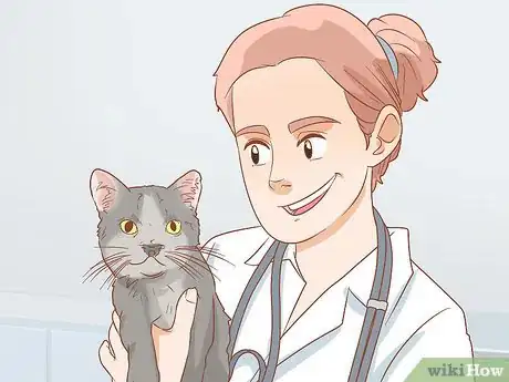 Image titled Treat Cleft Palate in Cats Step 1