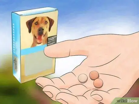 Image titled Prevent Canine Ear Mites Step 11