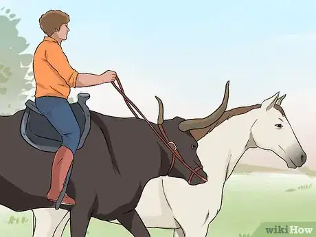 Image titled Ride a Steer Step 7