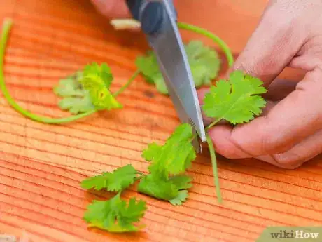 Image titled Store Herbs Step 11