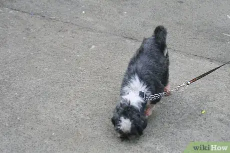 Image titled Housebreak Your Dog Using Crate Training Step 8