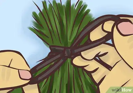 Image titled Dry Fresh Grown Catnip Step 3