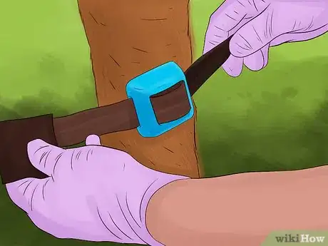 Image titled Breed Dairy Cattle Step 5