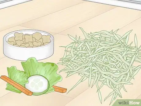 Image titled Prevent Your Guinea Pig from Becoming Sick Step 1