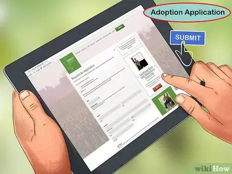 Image titled Adopt a Retired Guide Dog Step 3