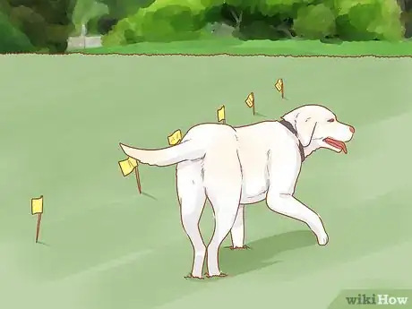 Image titled Train a Rescue Dog Step 13