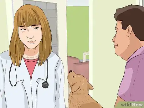 Image titled Socialize Orphaned Newborn Puppies Step 12