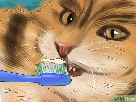 Image titled Treat Dental Disease in Senior Cats Step 5