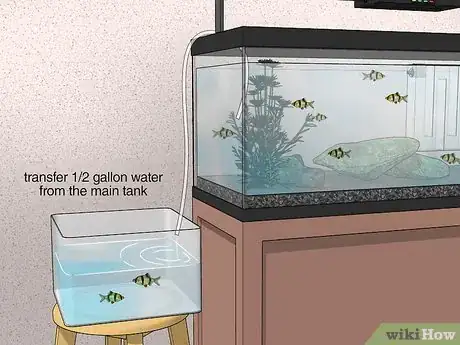 Image titled Acclimate Your Fish to a New Aquarium Step 8