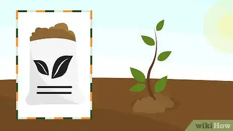 Image titled Grow Crepe Myrtle Step 12