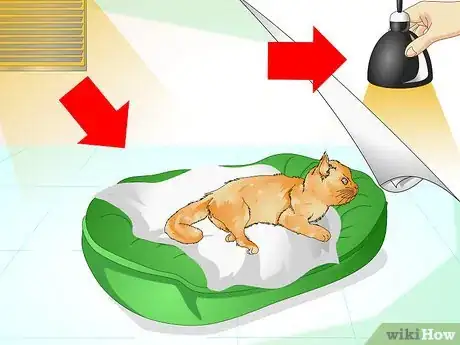 Image titled Comfort a Dying Cat Step 3