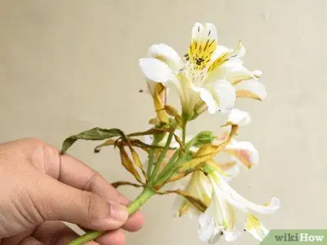 Image titled Arrange a Bouquet of Flowers Step 3