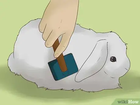Image titled Groom an Angora Rabbit Step 7