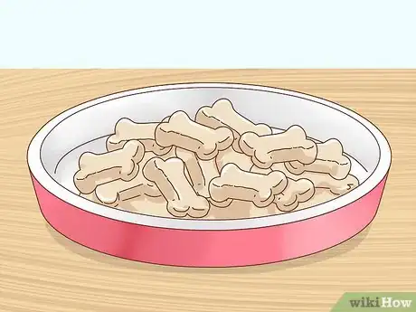 Image titled Care for Boxers Step 4