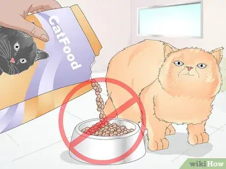 Image titled Keep a Cat Healthy Step 5
