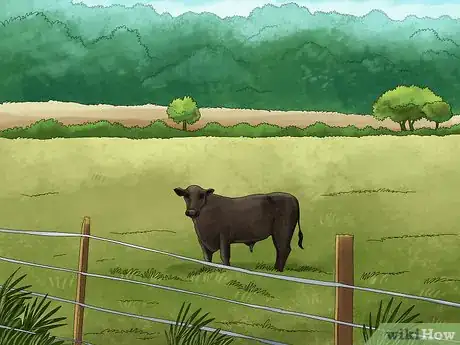 Image titled Manage Pastures Using Rotational or Management Intensive Grazing Step 18