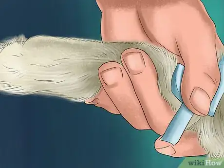 Image titled Apply Topical Medication to a Cat Step 9