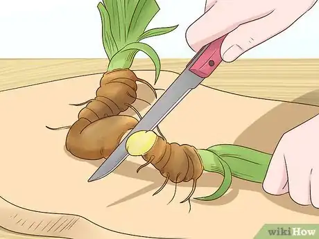 Image titled Grow Orris Root Step 2