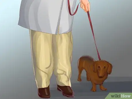 Image titled Keep a Puppy Out of Trouble Step 15