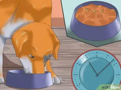 Image titled Deal with Severe Motion Sickness in Dogs Step 2