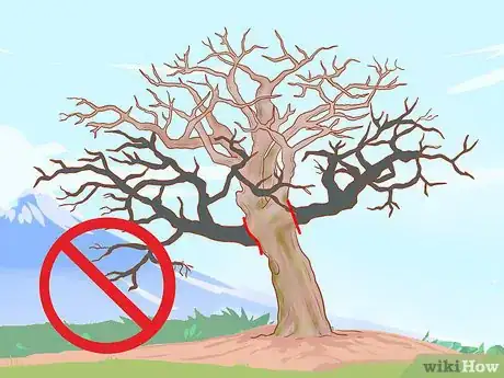 Image titled Prune Old Apple Trees Step 11