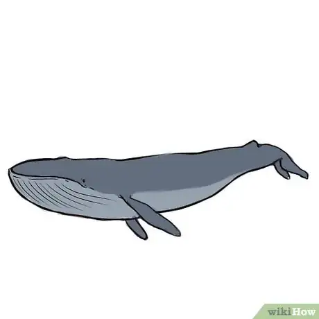 Image titled Color Step 5 11