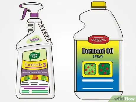 Image titled Maintain Roses Step 16