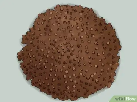 Image titled Grow Ivy Step 13