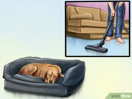 Image titled Keep Ticks from Your Dogs Step 4