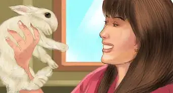 Prevent Dental Problems in Rabbits