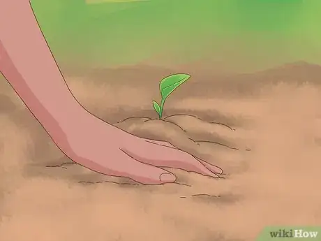 Image titled Grow Dichondra Step 26