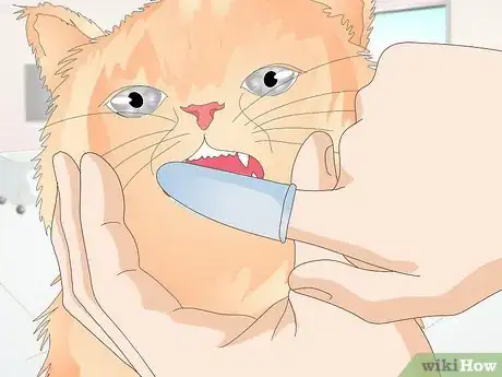 Image titled Keep a Cat Healthy Step 23