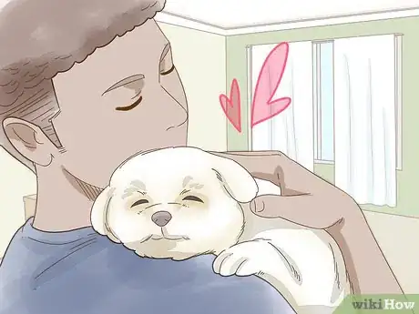 Image titled Look After Pets During Fireworks Step 15