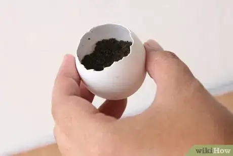 Image titled Recycle Eggshells in Gardening Activities Step 1Bullet3