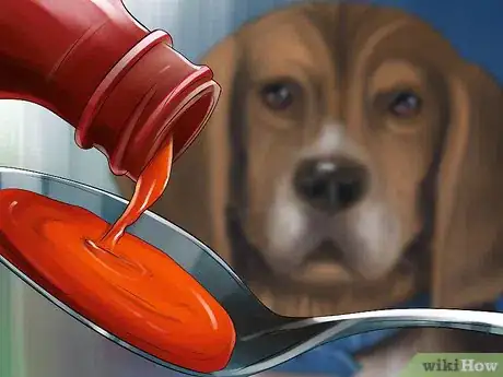 Image titled Diagnose Arthritis in Dogs Step 14