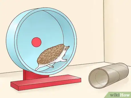 Image titled Take Care of a Hedgehog Step 20